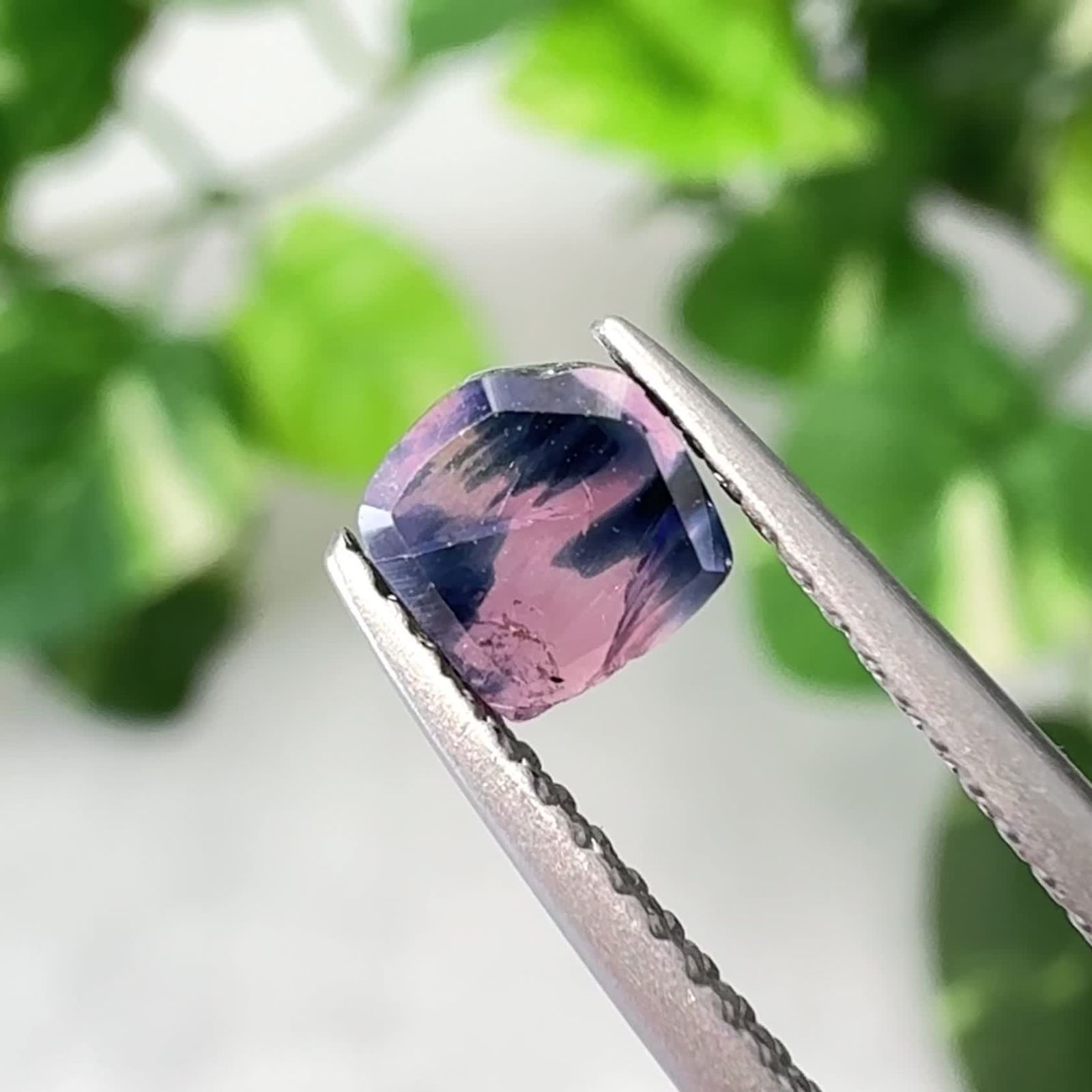 25 9月1日（月）新着 | ウィンザーサファイア | TOP STONE