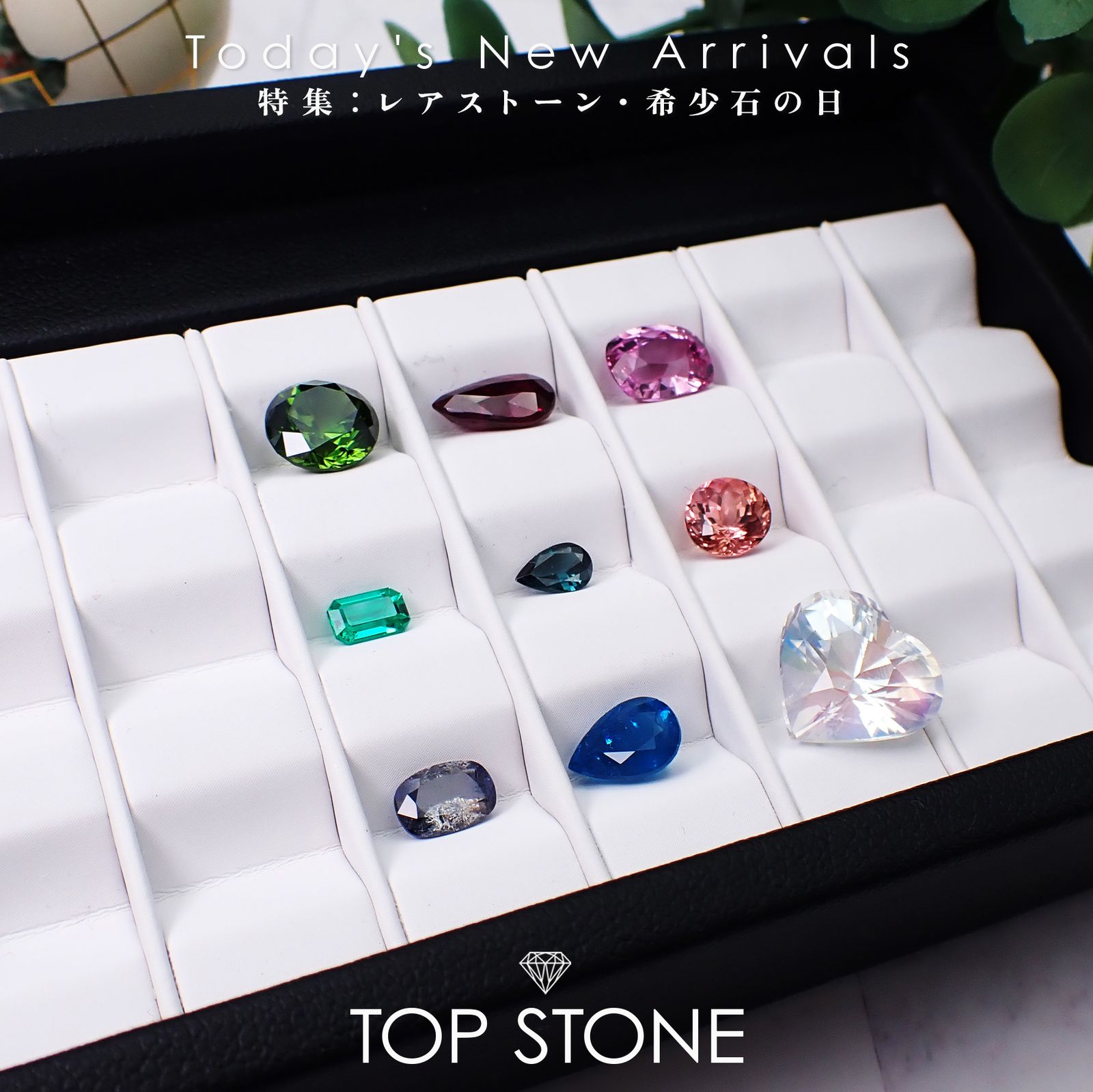 26 1月14日（水） 新着 | レアストーン・希少石特集 | TOP STONE