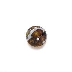 パラサイト隕石Sericho トリプレット 発見地:ケニア 3.97ct[240125718]12.1x12mm前後