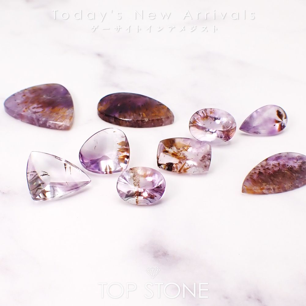 ’26 2月1日（日）新着 | ゲーサイトインアメジスト