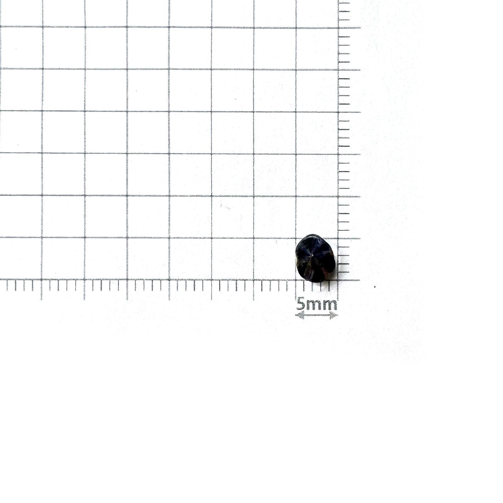 トラピッチェサファイア 原石スライス磨き ビルマ産 0.62ct [250430187]5.6x4.7mm前後