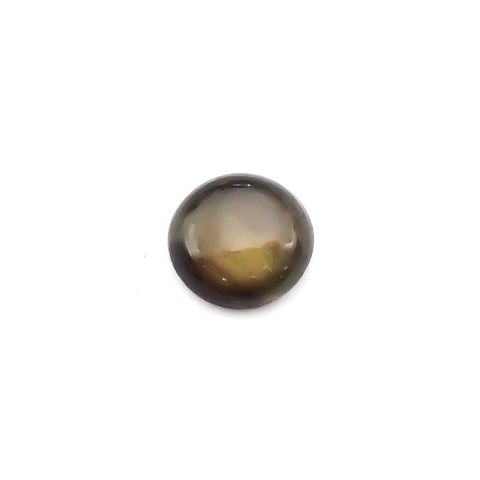 ゴールドシーンサファイア(宝石名シーン・サファイア)ケニア産 識別済 0.41ct / 4.5x4.5mm前後 [260816219]