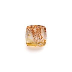 レッドデンドリチッククォーツ ブラジル産 17.39ct[230321119]17.4x16.6mm前後
