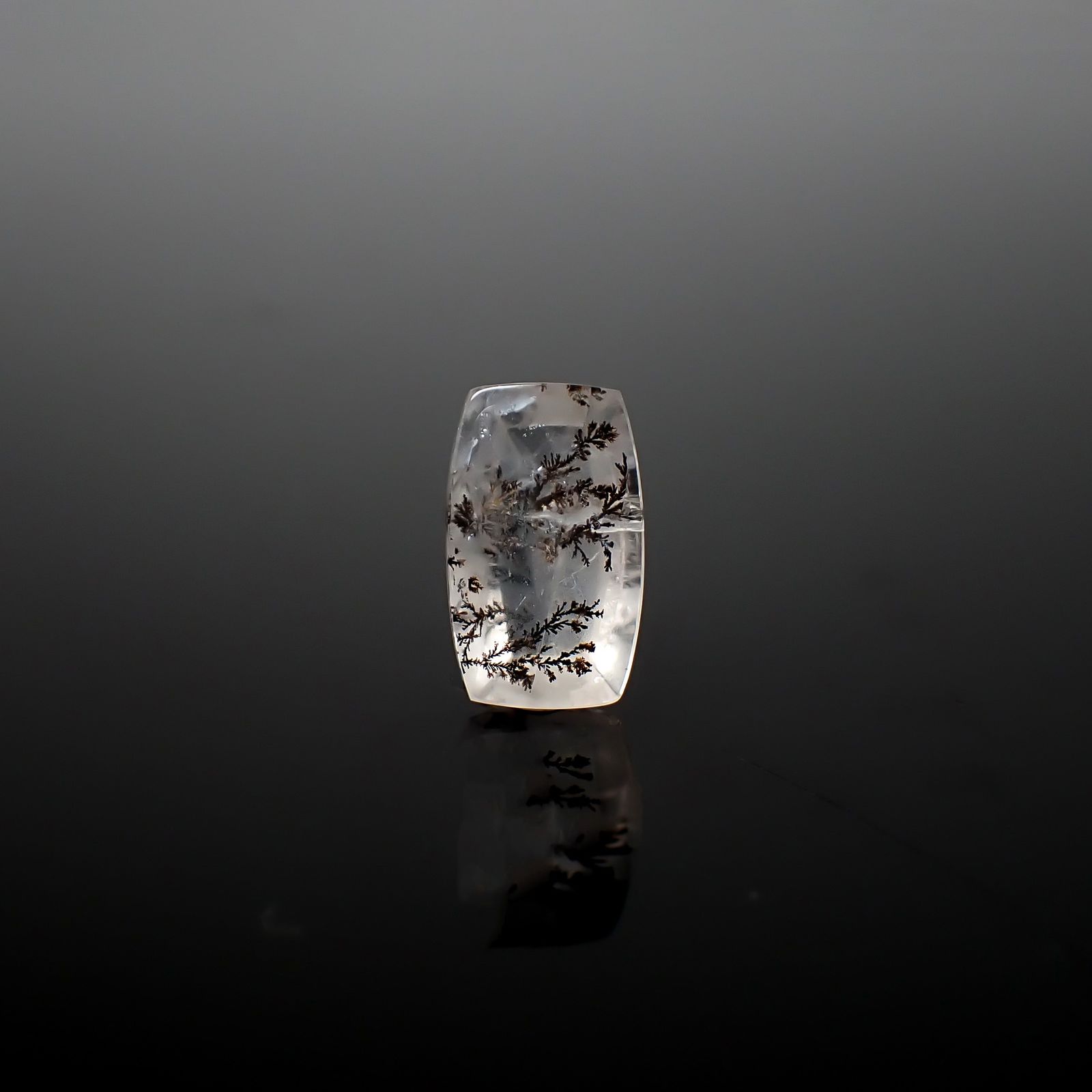デンドリチッククォーツ ブラジル産 3.24ct / 12.3x7.5mm前後 [260832748]