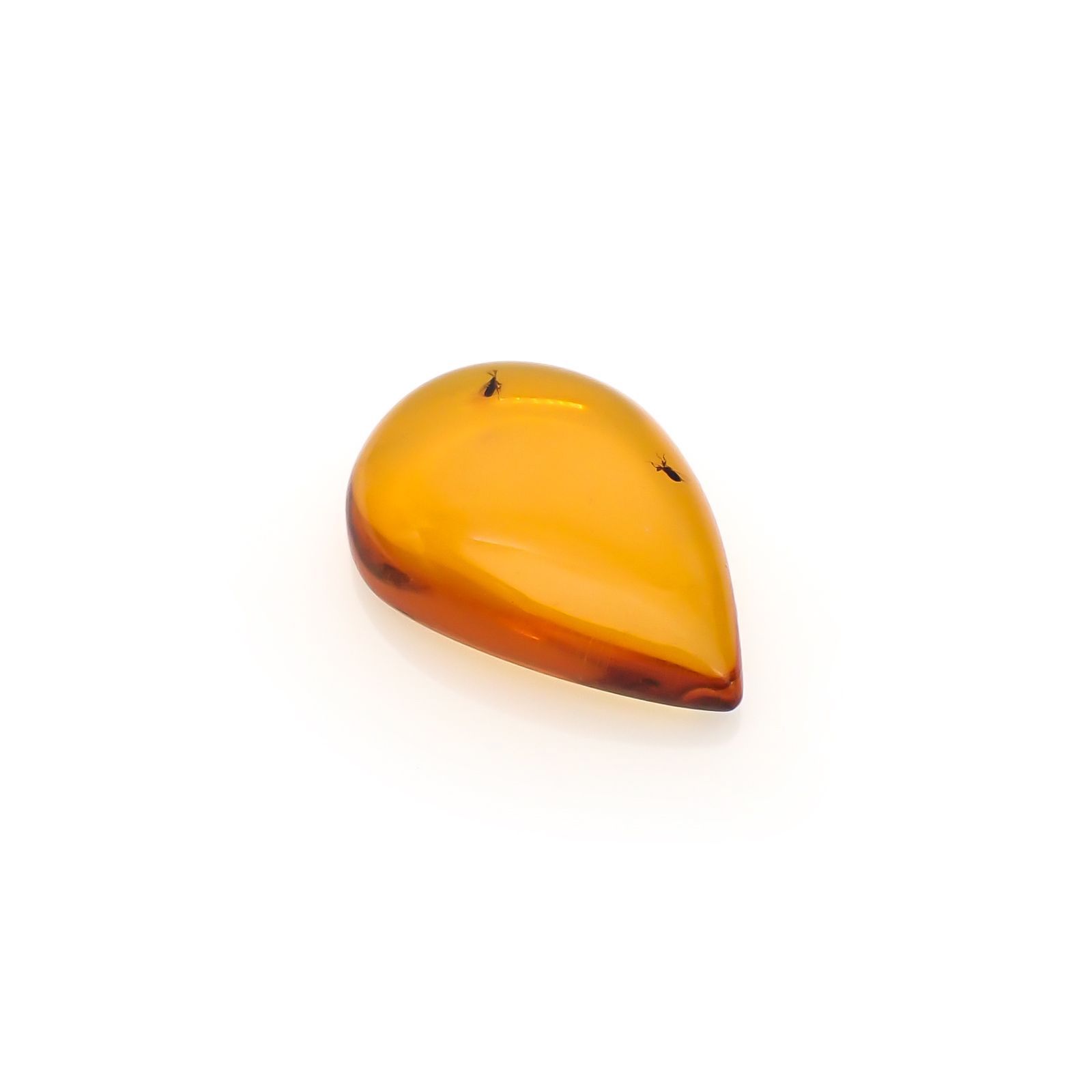 虫入り琥珀 コロンビア産 12.31ct [221018548]29.3x20.5mm前後