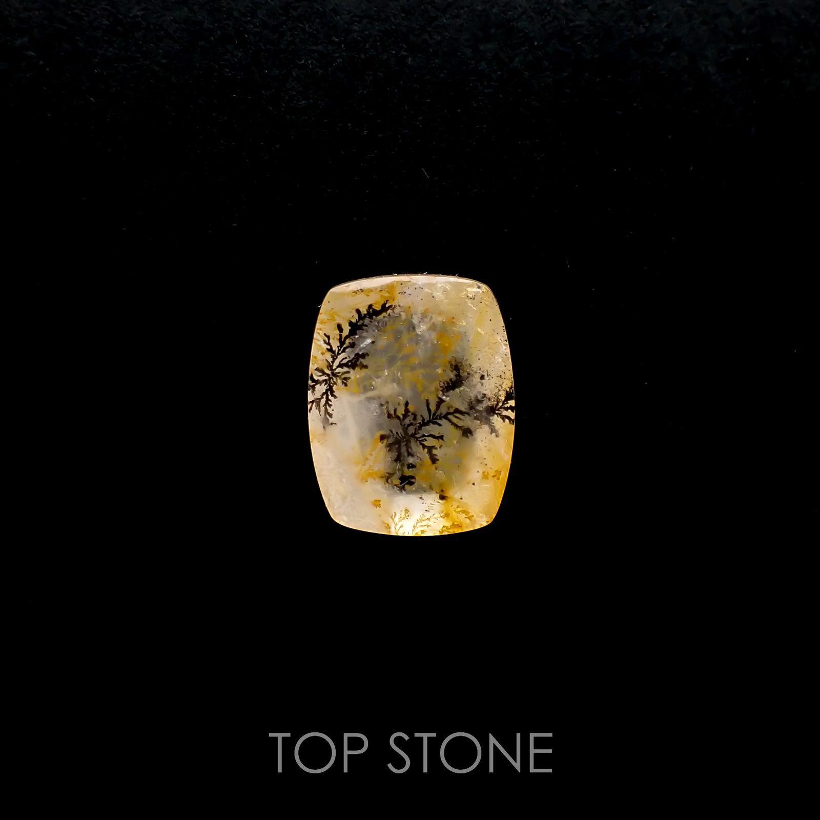 デンドリチッククォーツ ブラジル産 3.87ct[220616710]12.2x9.6mm前後