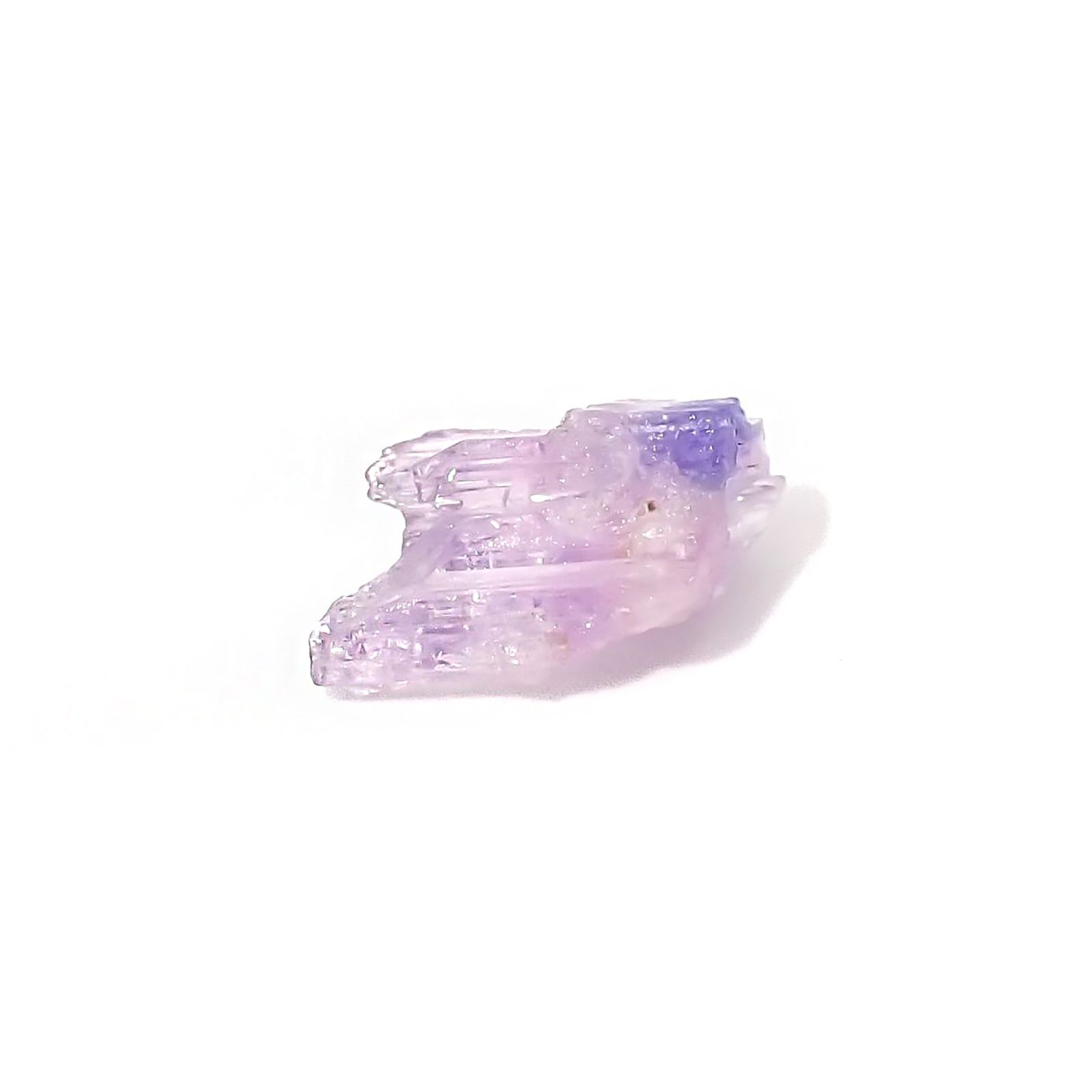 バイカラータンザナイト 原石 タンザニア産 2.88ct / 9.7x7.7mm前後 [260424984]