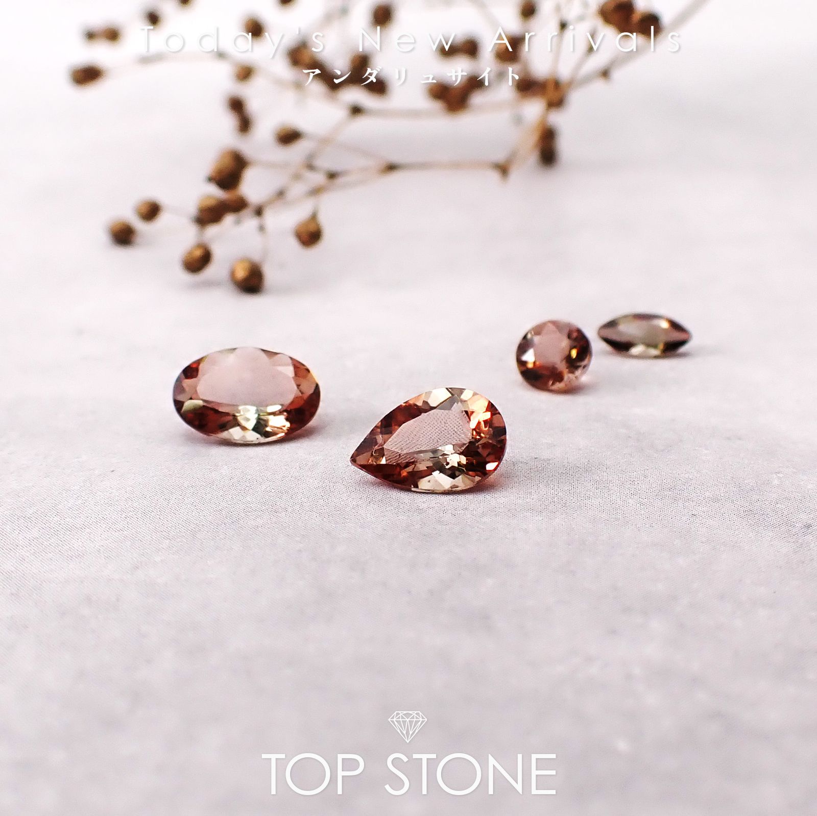 26 2月15日（日）新着 | アンダリュサイト | TOP STONE(トップストーン)