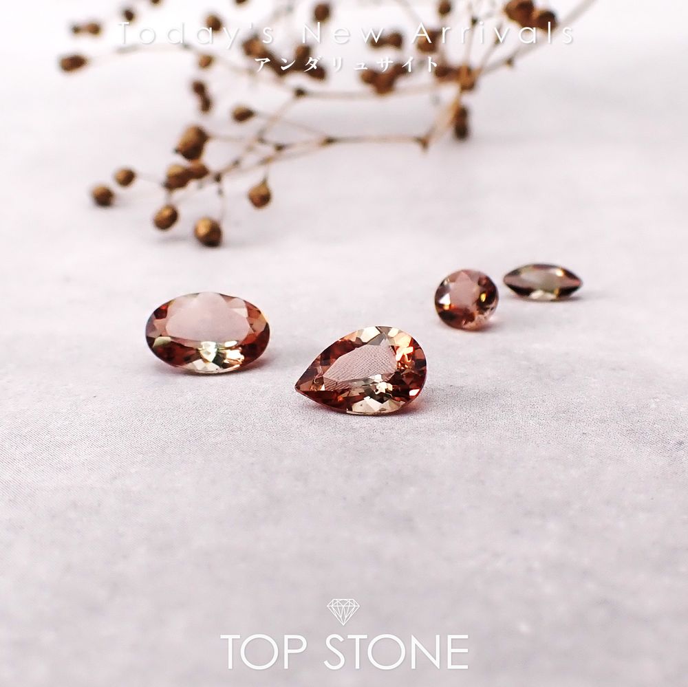 ’26 2月15日（日）新着 | アンダリュサイト