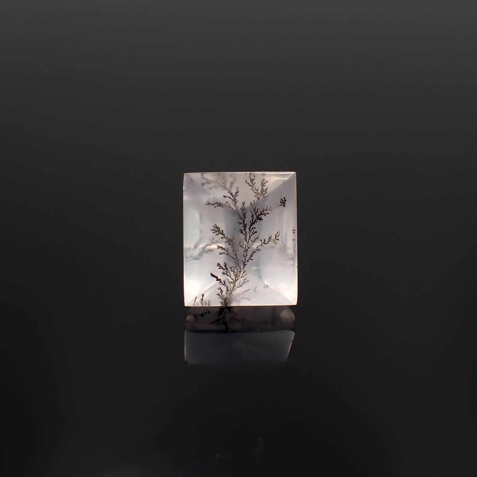 デンドリチッククォーツ ブラジル産 10.55ct[230823239]13.8x11.8mm前後