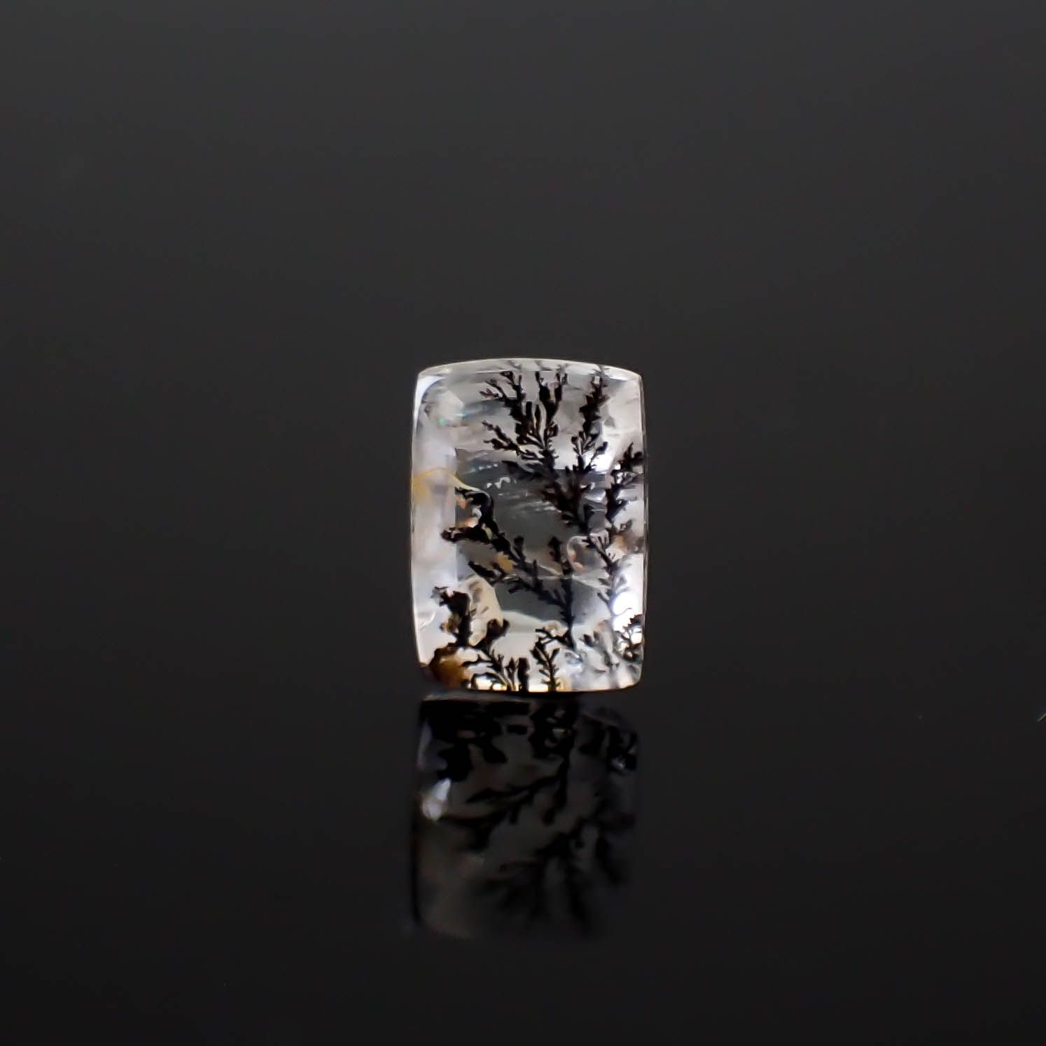 デンドリチッククォーツ ブラジル産 2.08ct [250330084]9.3x6.6mm前後