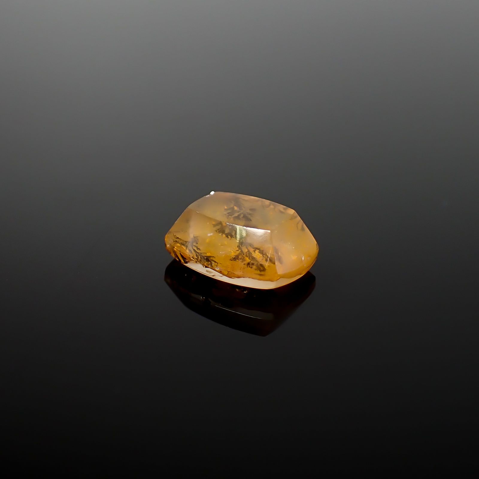 デンドリチッククォーツ ブラジル産 3.04ct / 10.5x7.9mm前後 [260832743]