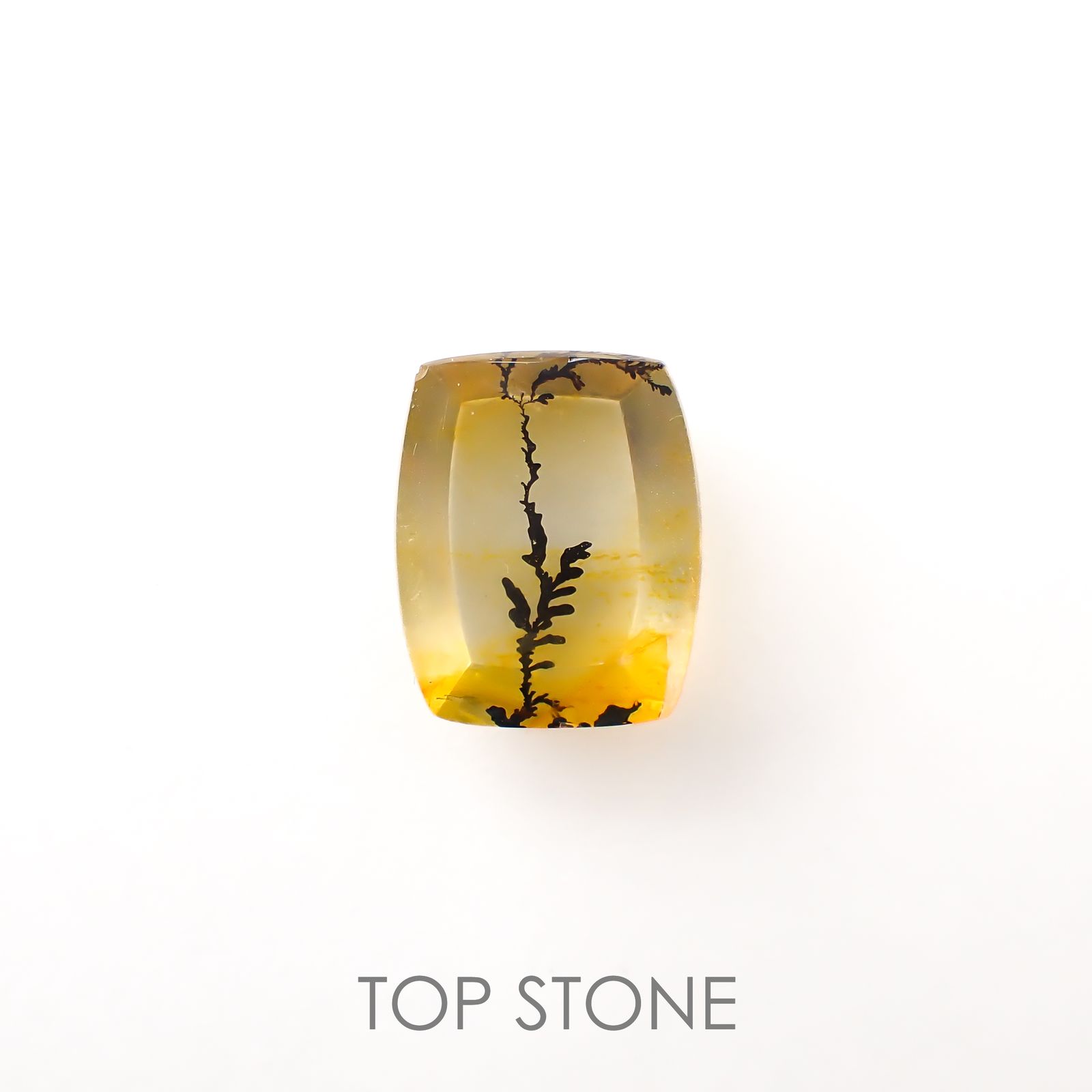 デンドリチッククォーツ ブラジル産 3.95ct[220817339]11.6x9.4mm前後