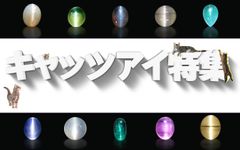 キャッツアイ特集