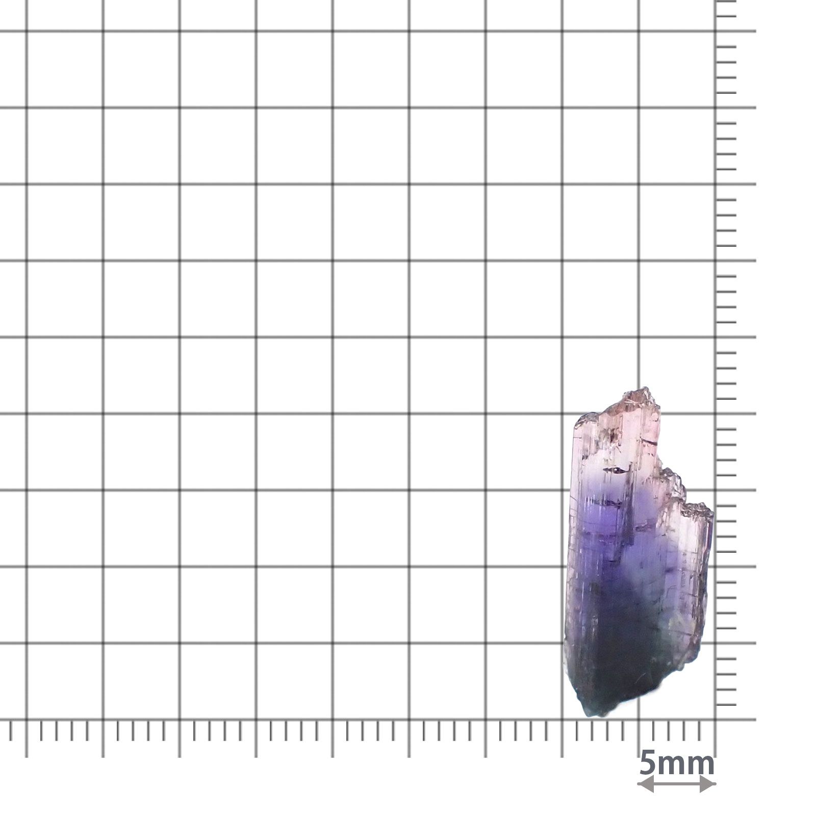 バイカラータンザナイト 原石(宝石名バイカラー・ゾイサイト)タンザニア産 ソ付(彩珠) 5.750ct / 21.8x9mm前後 [230622313]