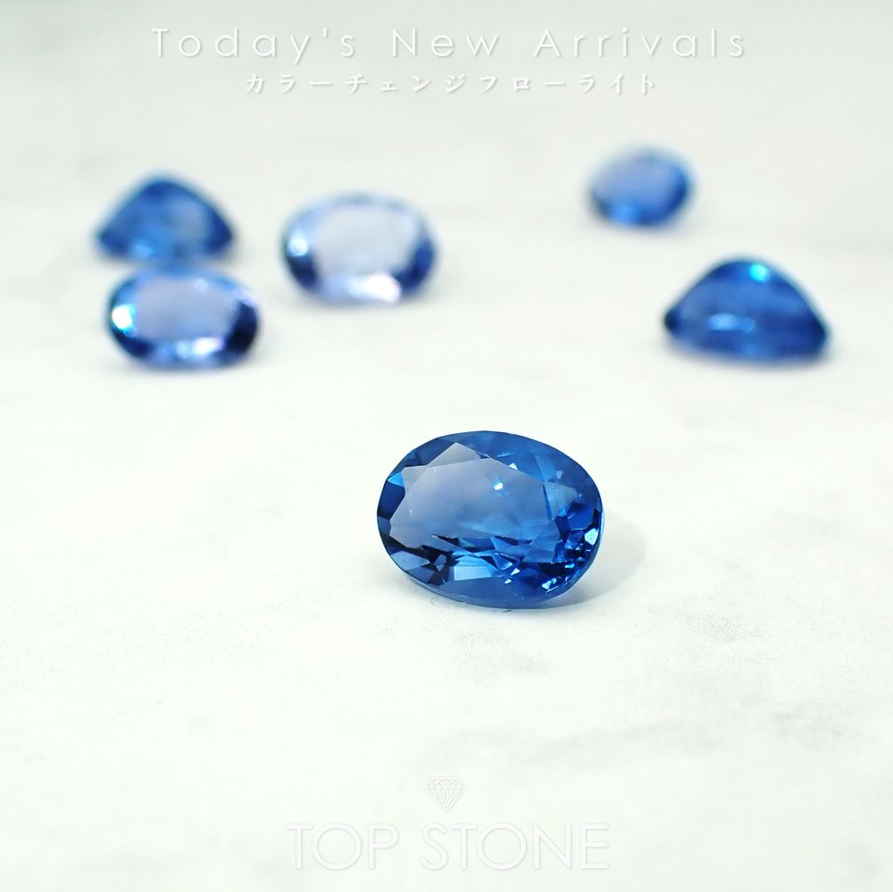 ’25 12月16日（火）新着 | カラーチェンジフローライト