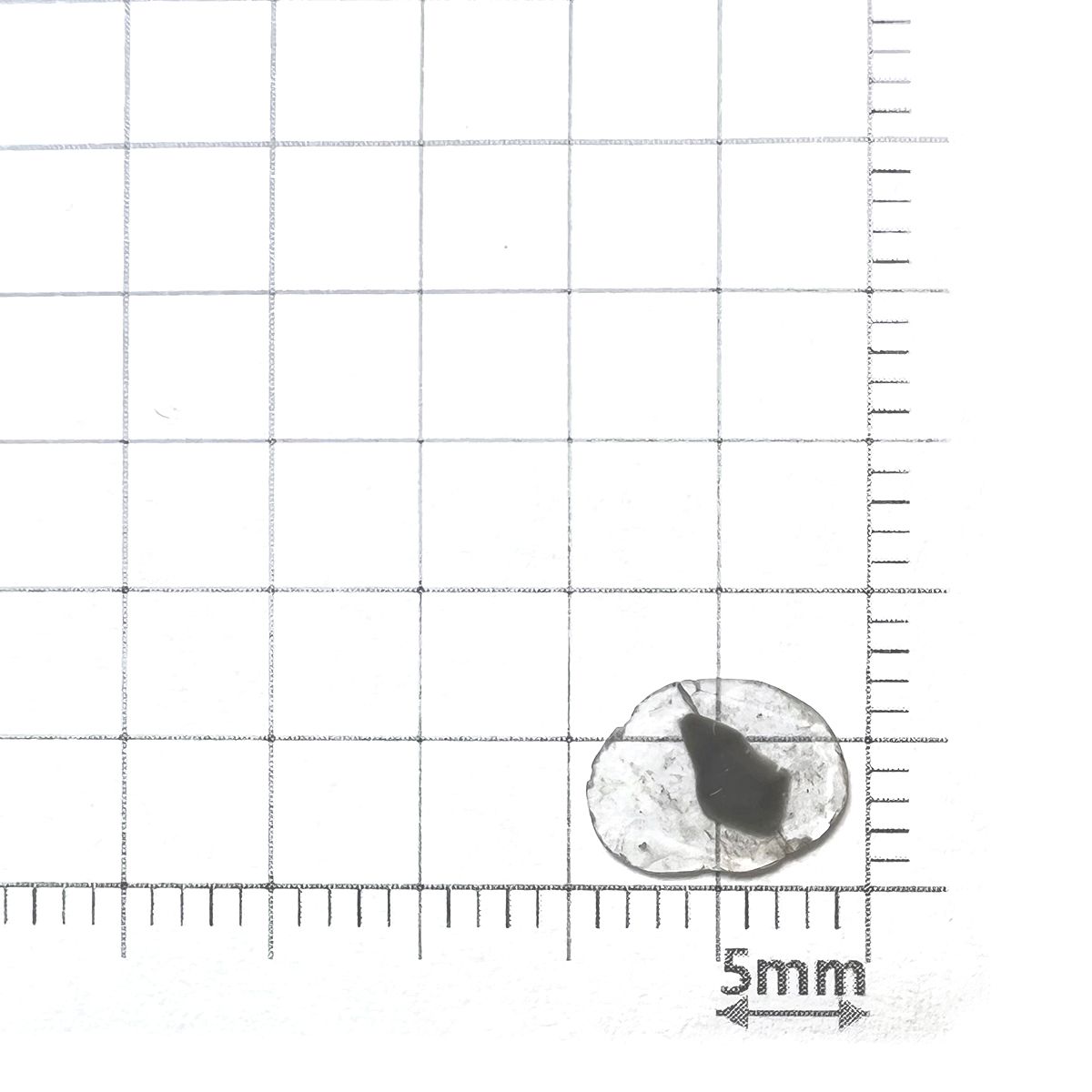 トラピッチェスライスダイヤモンド(宝石名ダイアモンド) 0.25ct 識別済[231024025]8.5x6.6mm前後