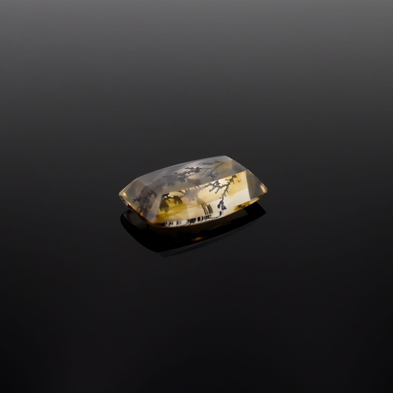 デンドリチッククォーツ ブラジル産 4.18ct[230521966]14.2x9.3mm前後