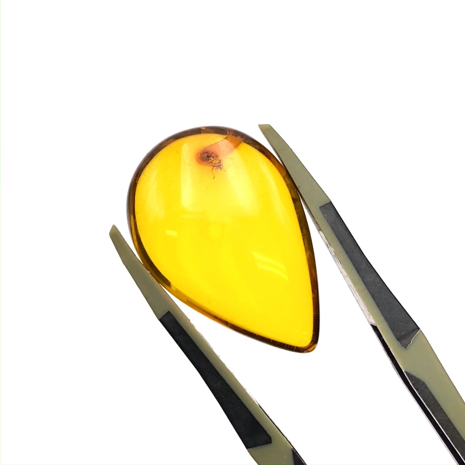 虫入り琥珀 コロンビア産 12.68ct [221018554]27.9x18.5mm前後 | TOP