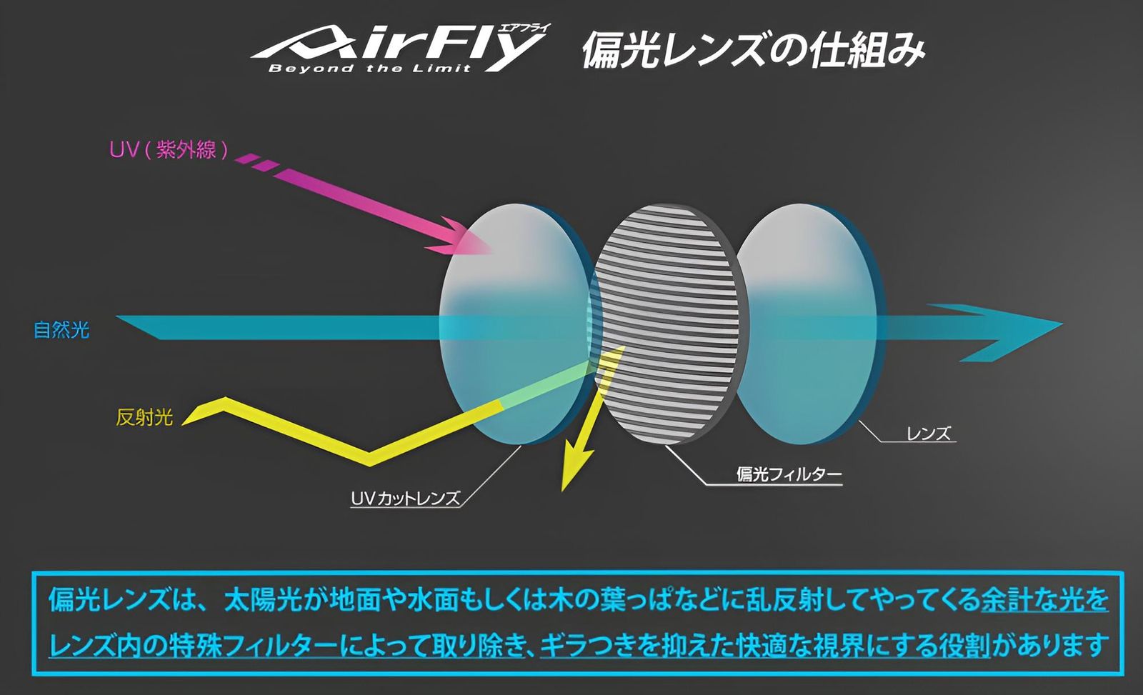AF-303 C-4P 偏光レンズ組込みセット | サングラス | 偏光レンズ | ユニセックス