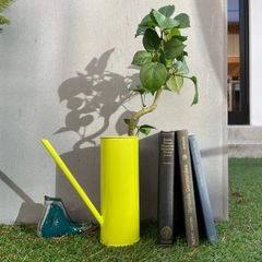 slim jug