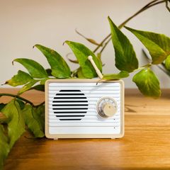 OPT retro speaker