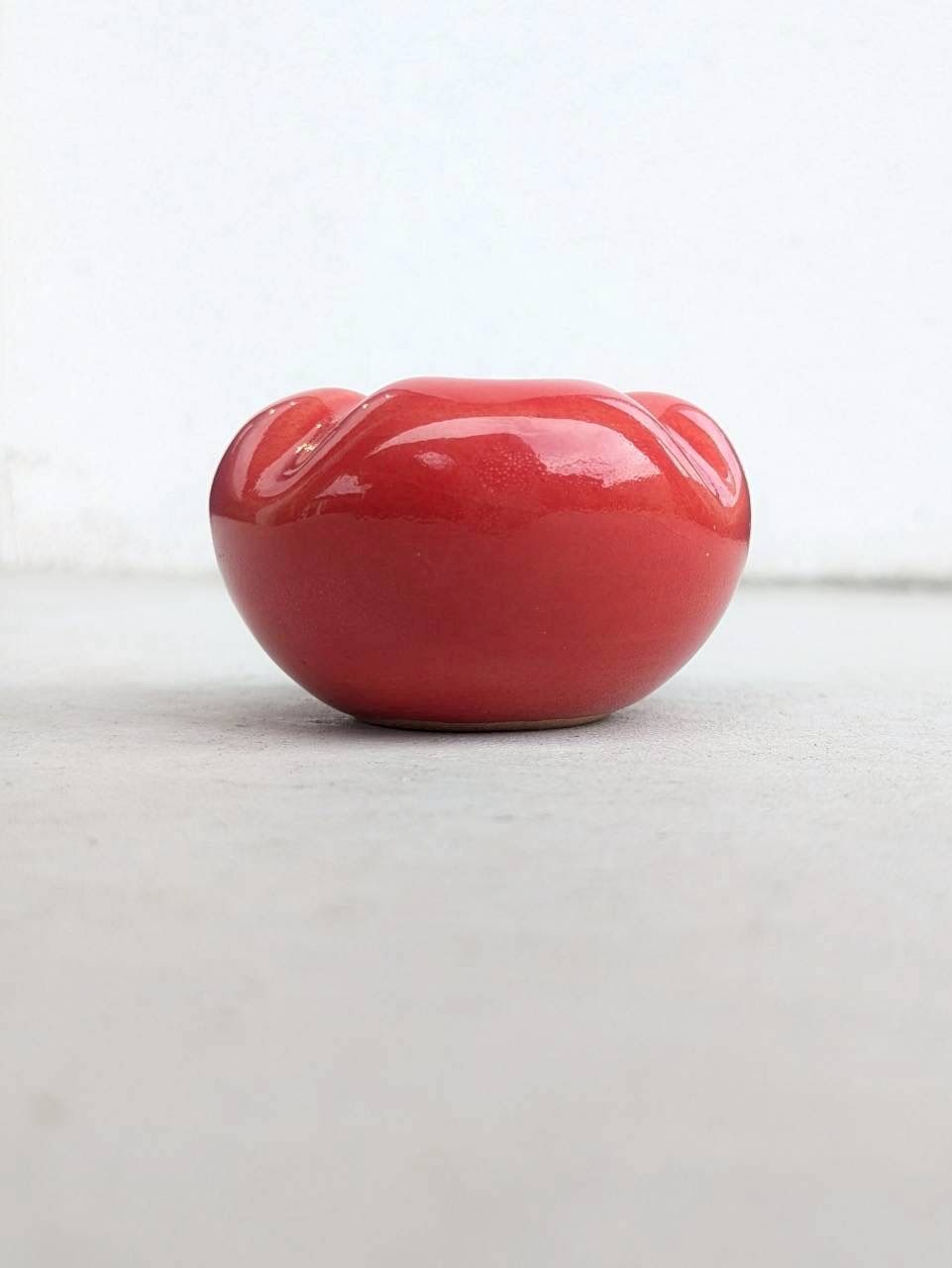 土の花【花】Red