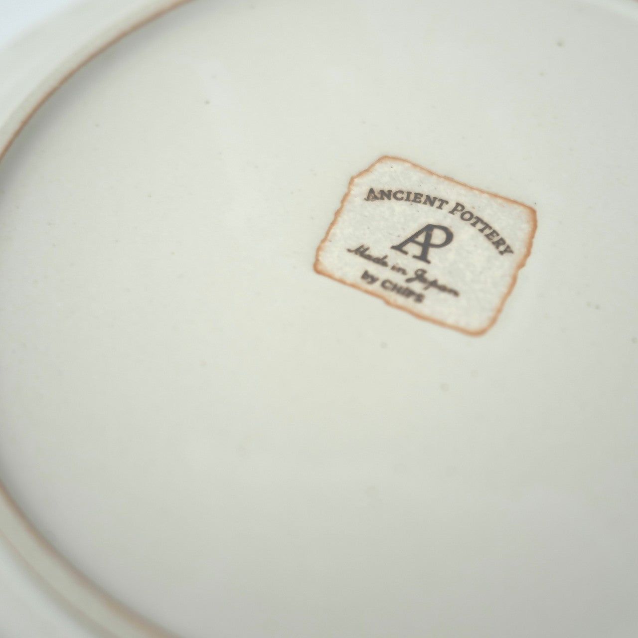 Ancient Pottery Plate