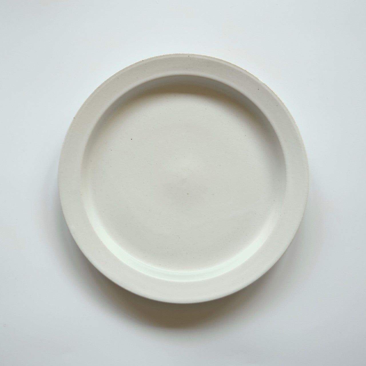 Ancient Pottery Plate