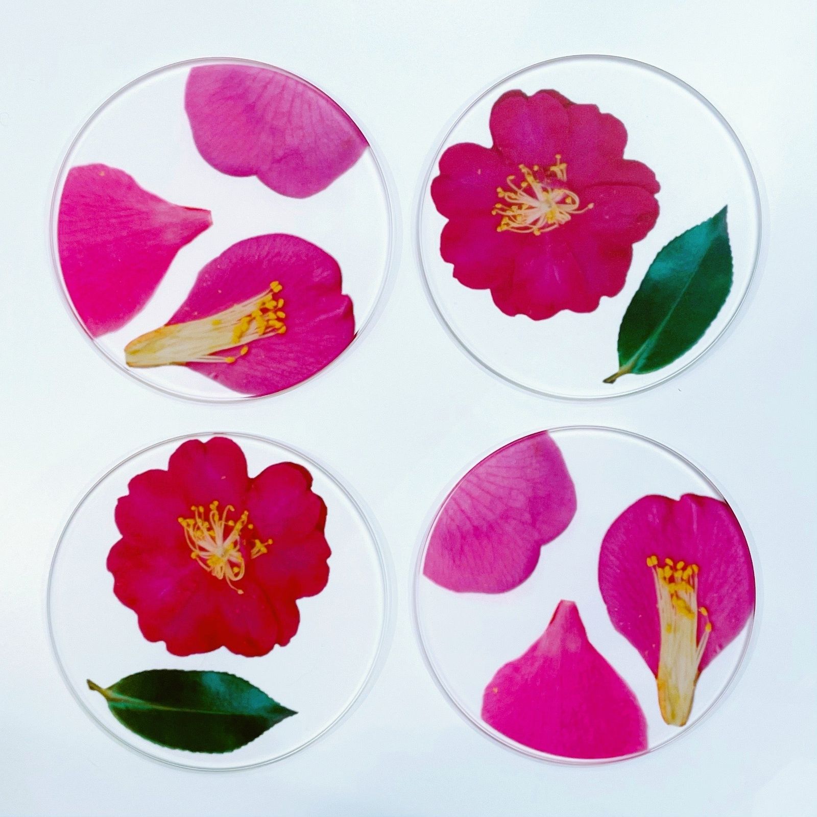 COASTER SET "toumei"