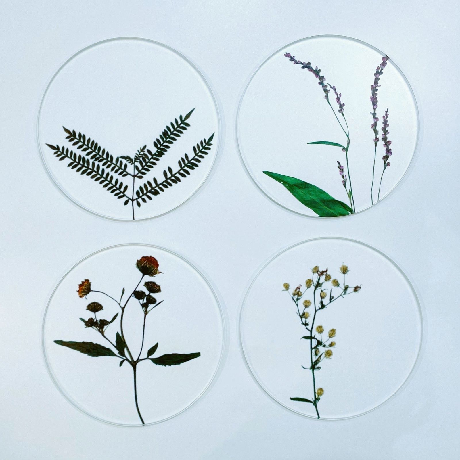 COASTER SET "toumei"