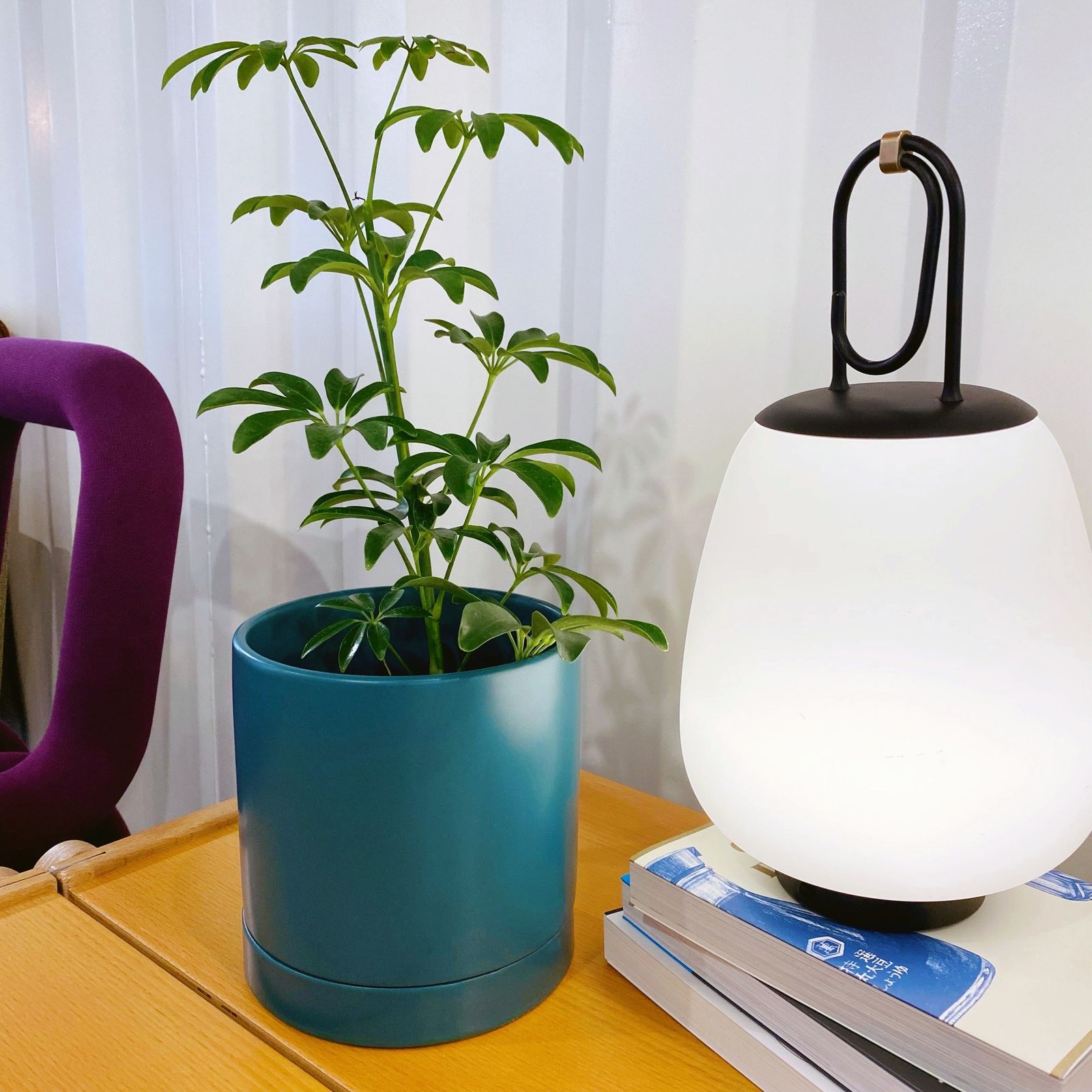【バリエーション追加希望】Indoor Plant Pot オーセ