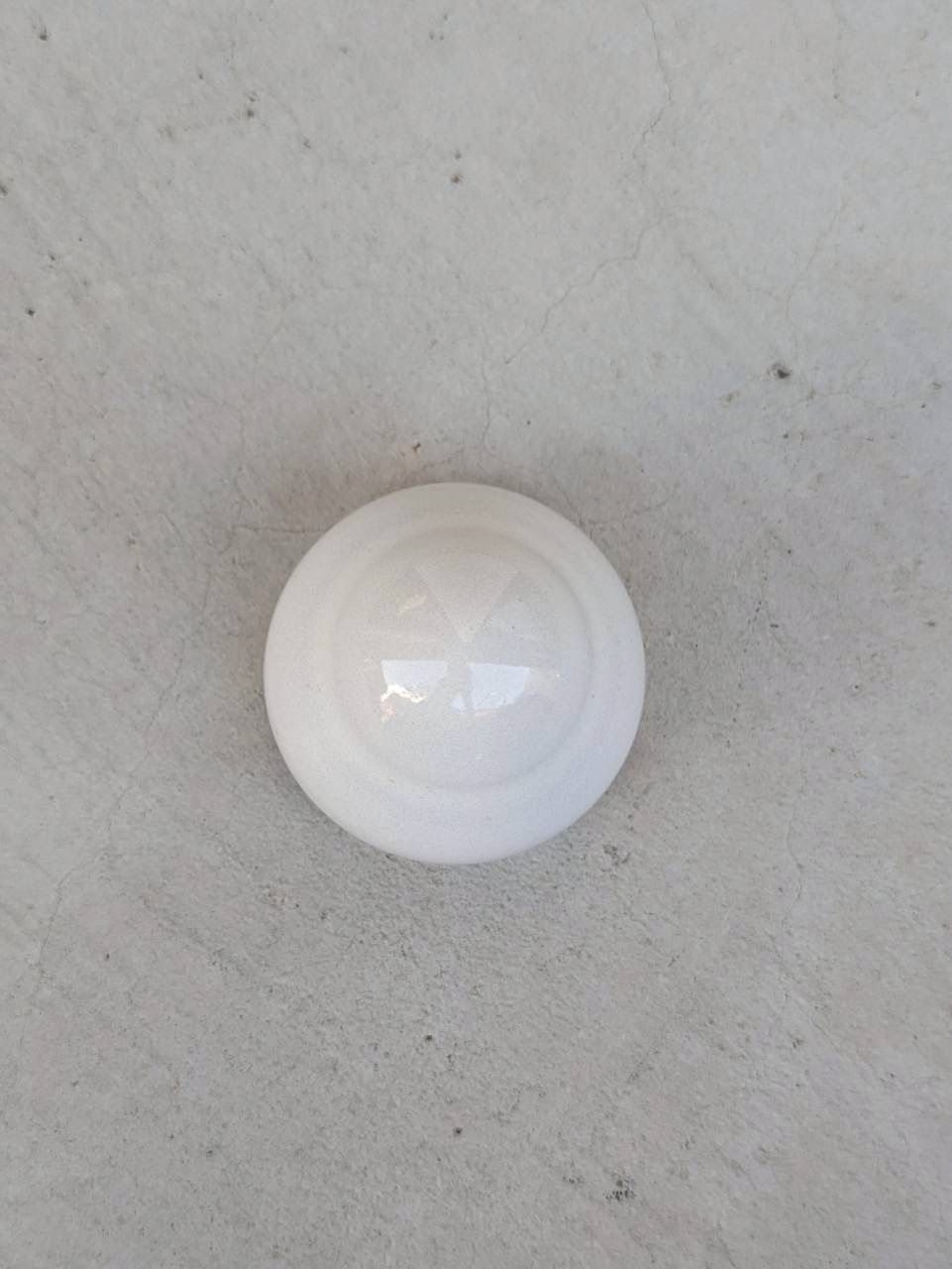 土の花【花】White