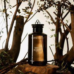 KLOWER PANDOR DIFFUSER / クロワーパンド / MISTY FOREST / ミスティーフォレスト