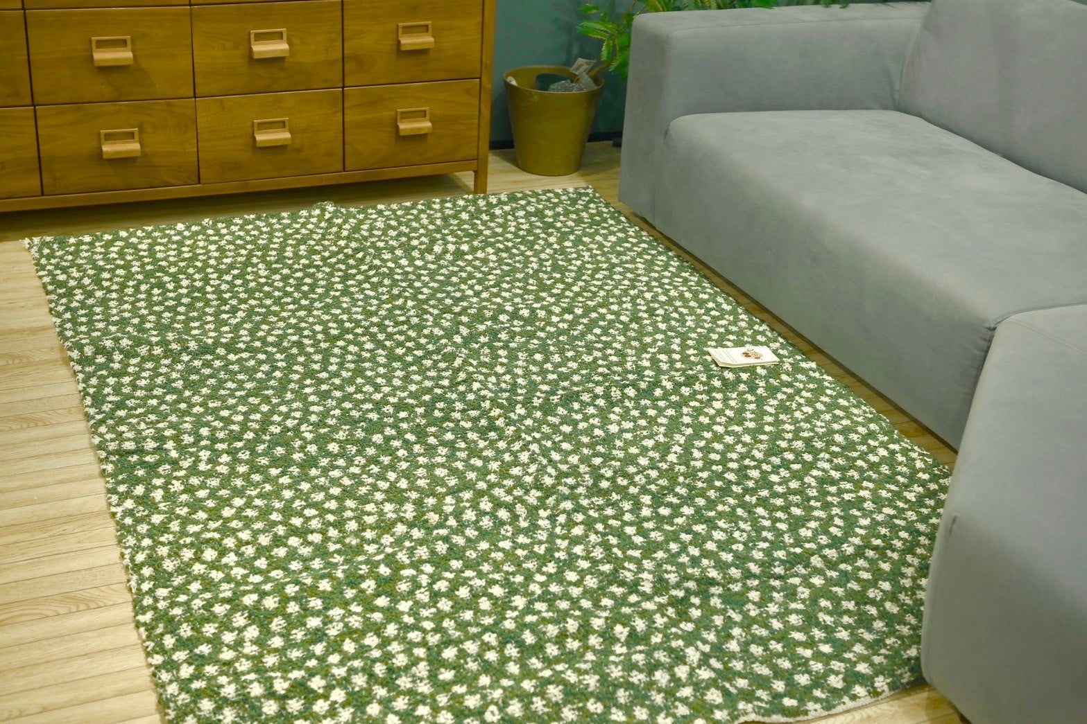 JARAPA CLOVER