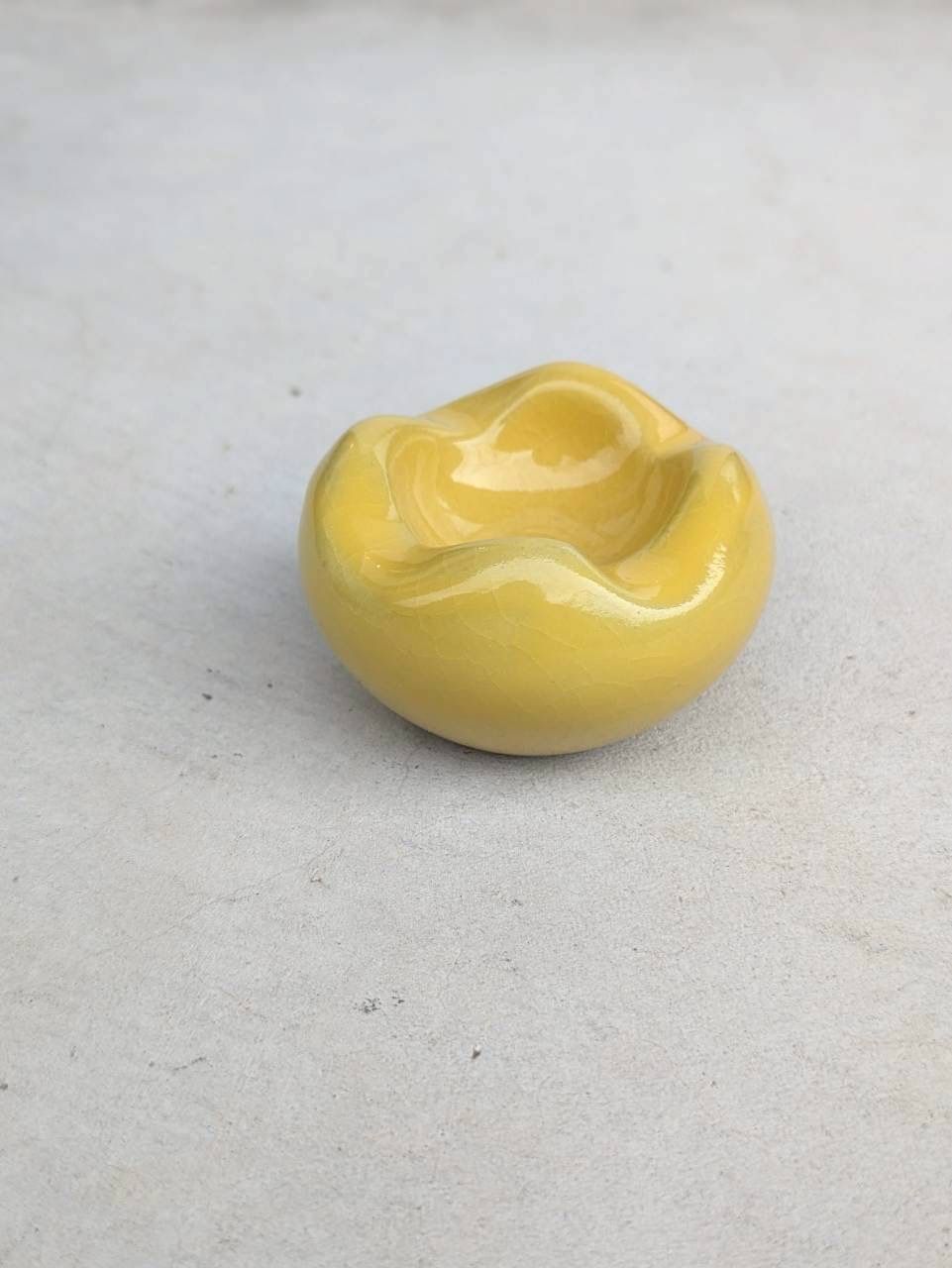 土の花【花】Yellow