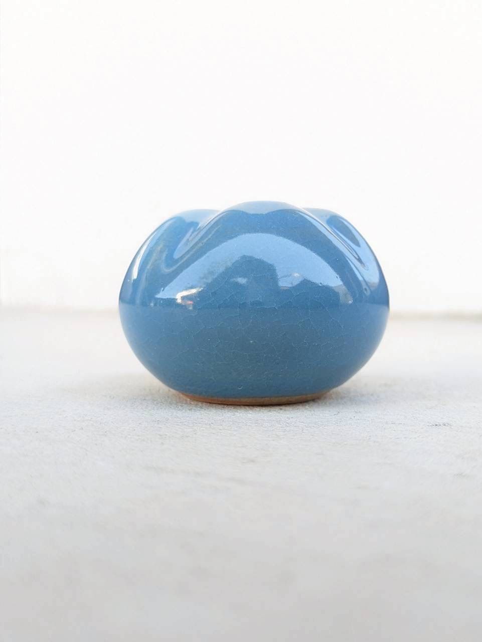 土の花【花】Blue