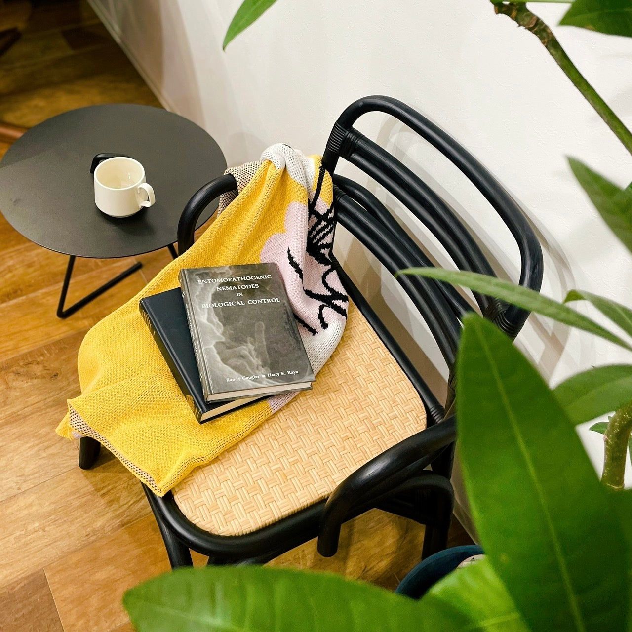 SR side chair made of Rattan