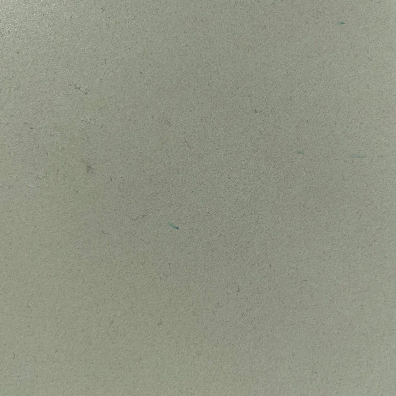 PLATE "shimamori"