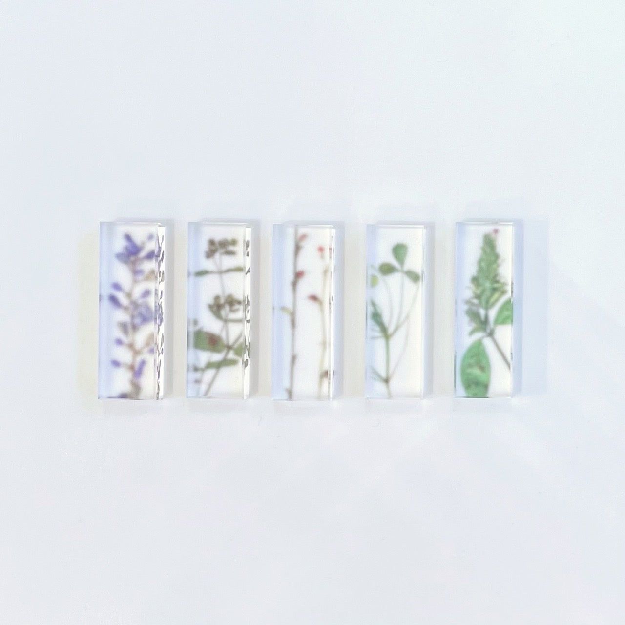 押花 箸置きセット "toumei"