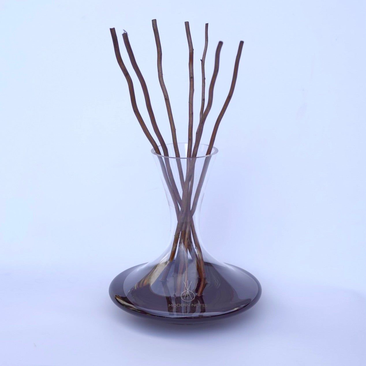 Wine diffuser decanter