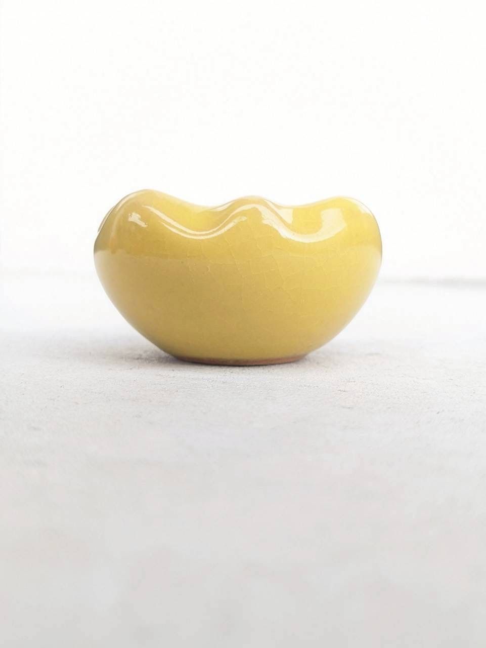 土の花【花】Yellow