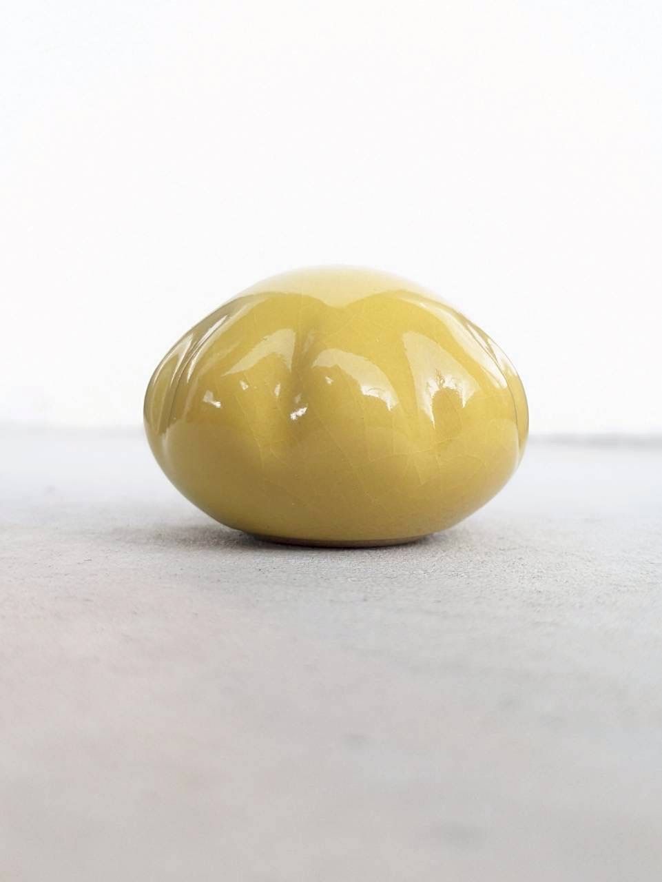 土の花【花】Yellow