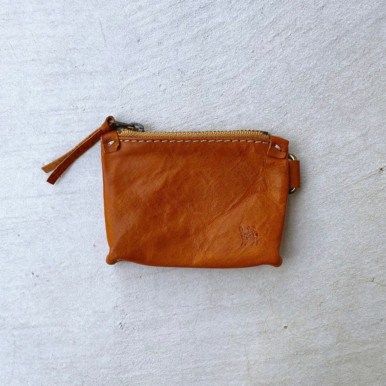CAPYBARA Coine Case Ⅲ