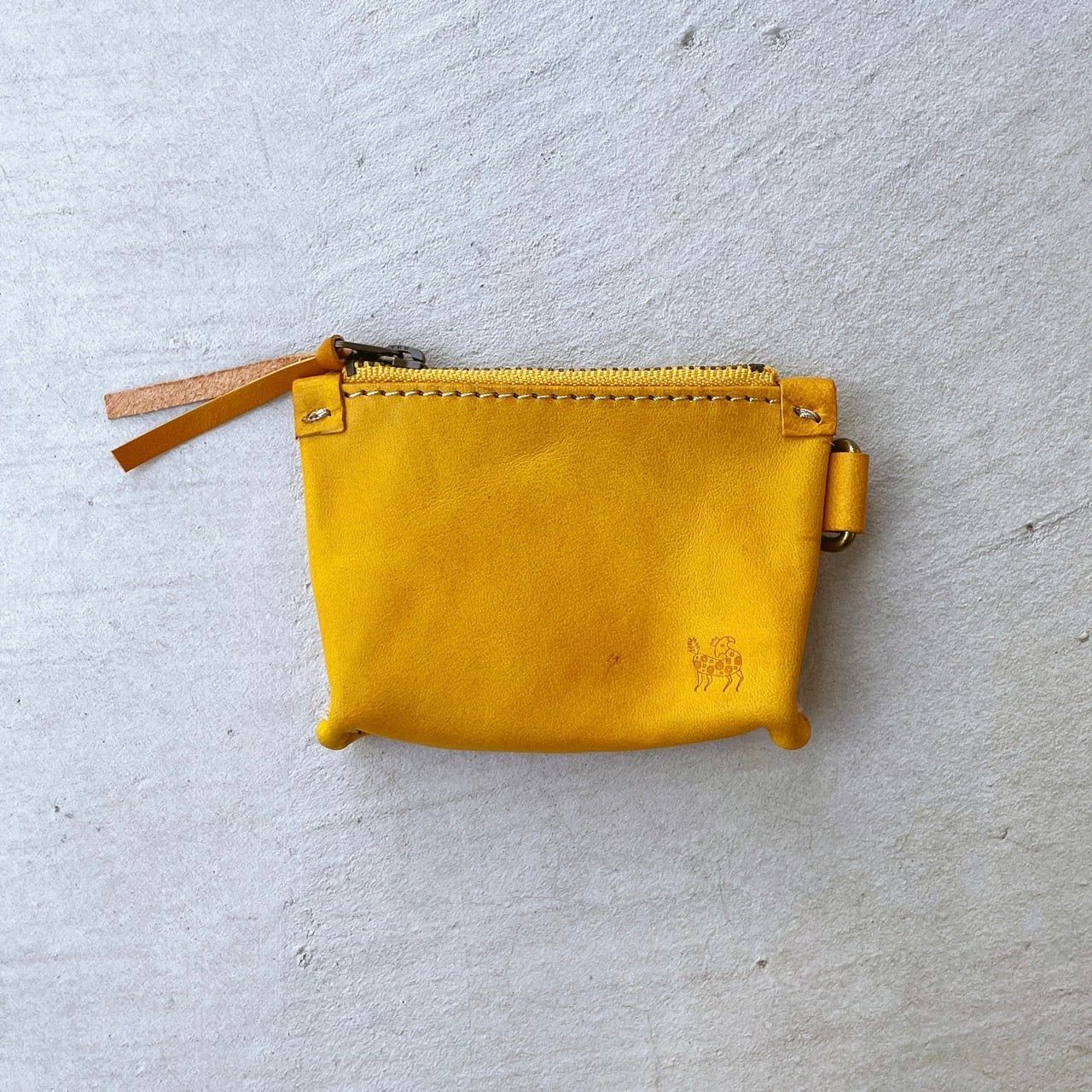 CAPYBARA Coine Case Ⅲ