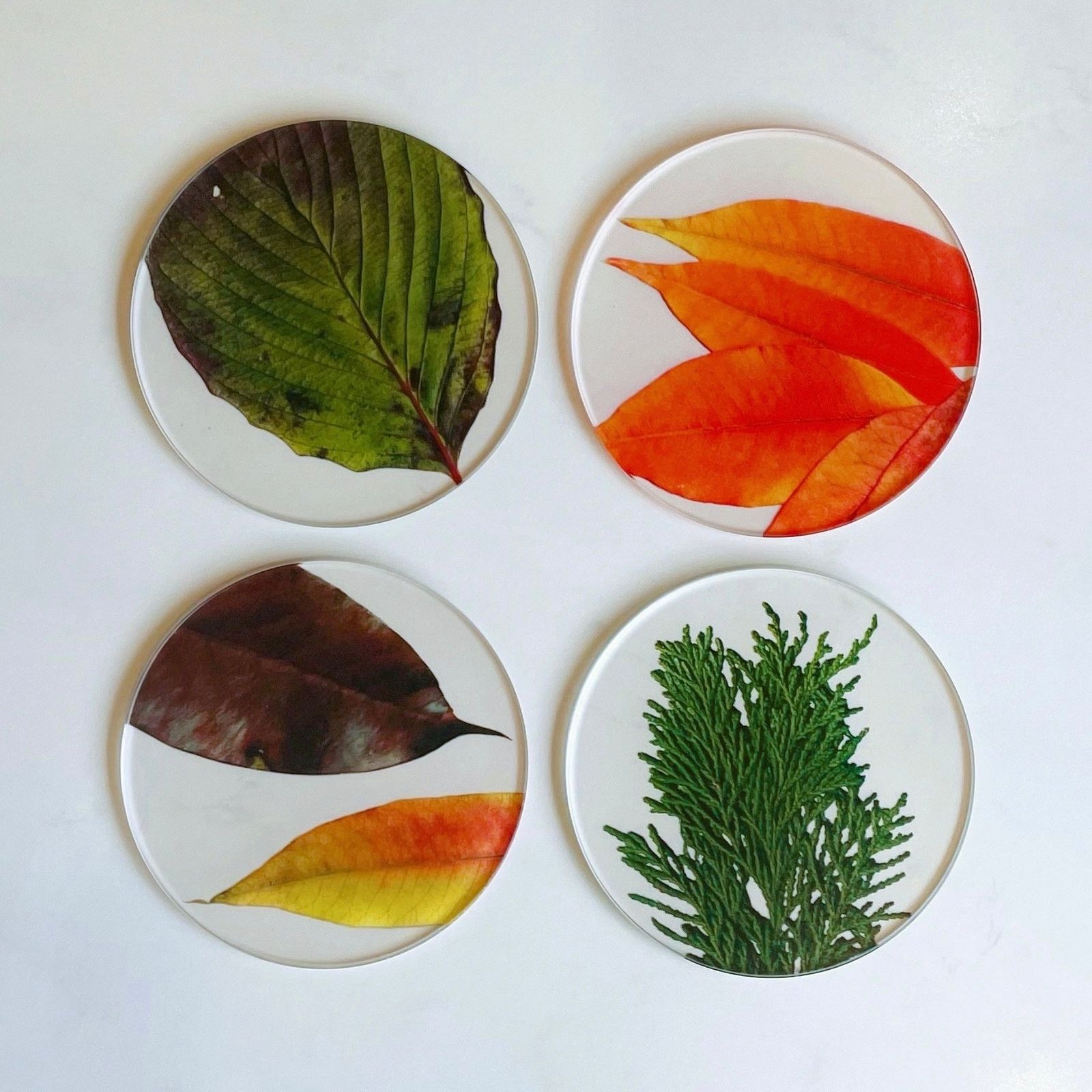 COASTER SET "toumei"