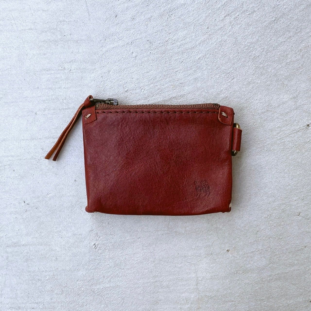 CAPYBARA Coine Case Ⅲ