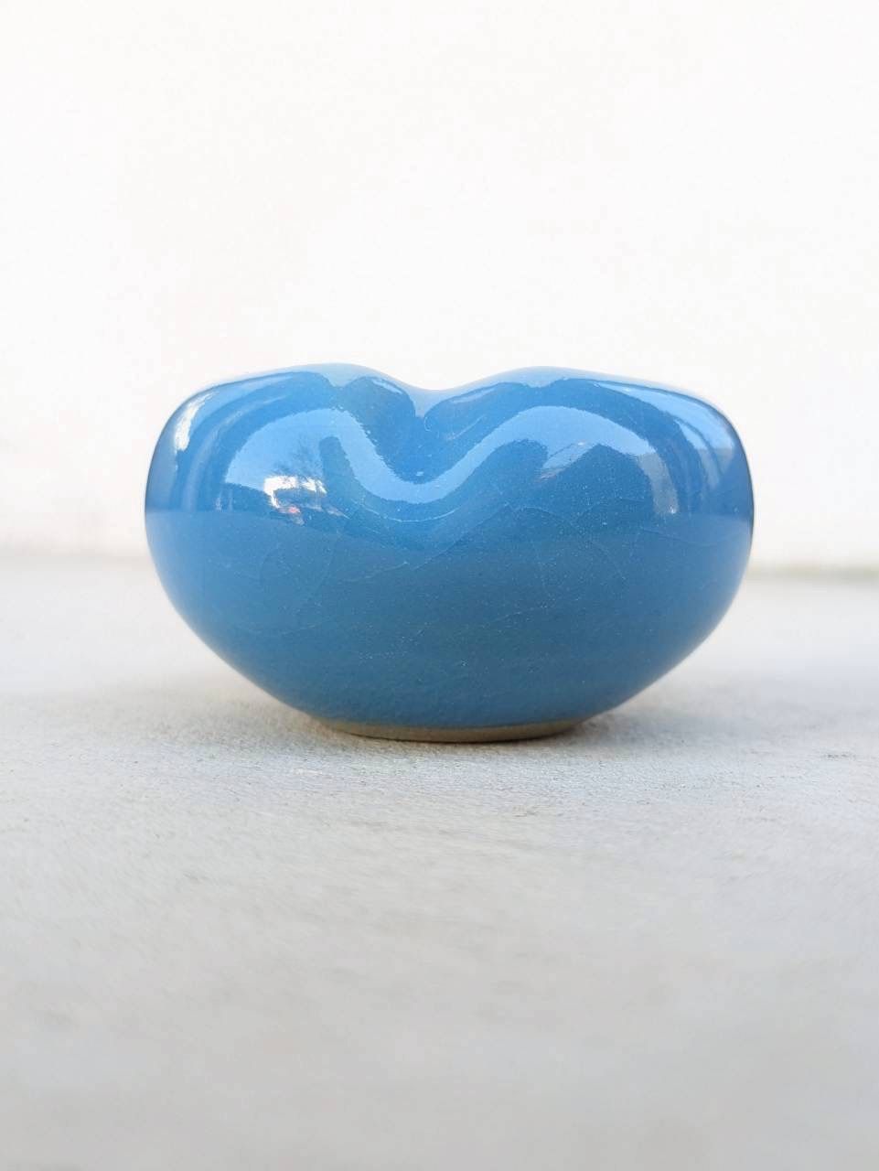 土の花【花】Blue