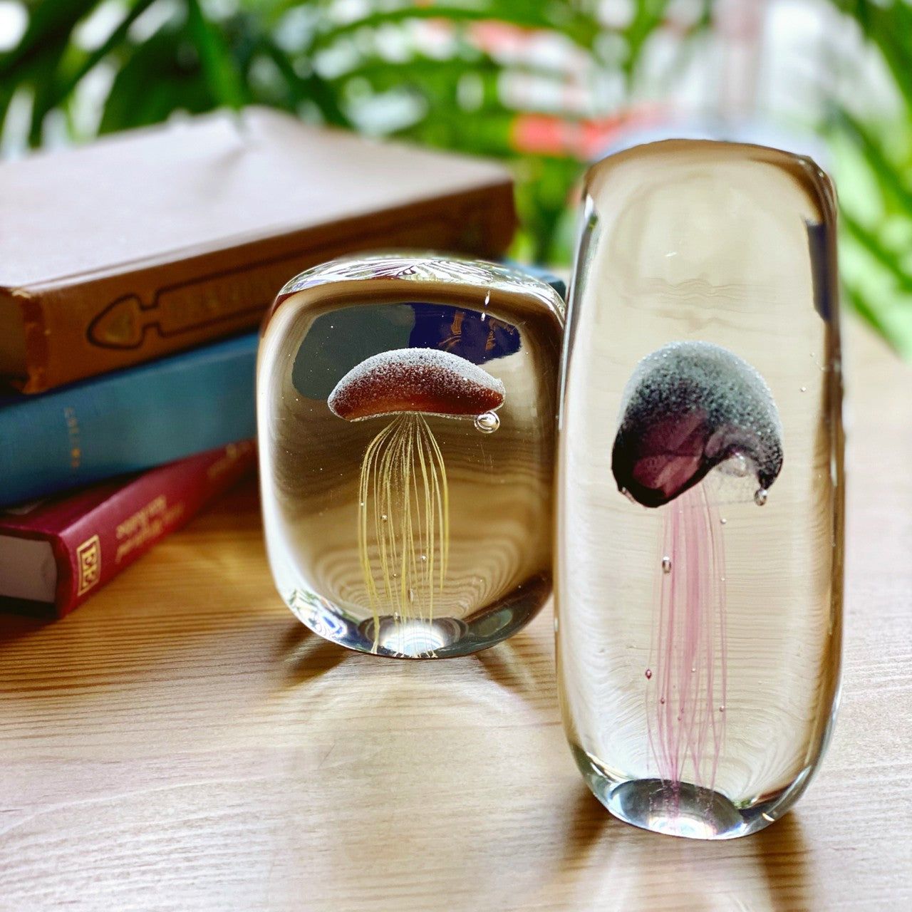 jellyfish paperweight