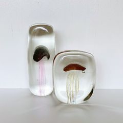 jellyfish paperweight
